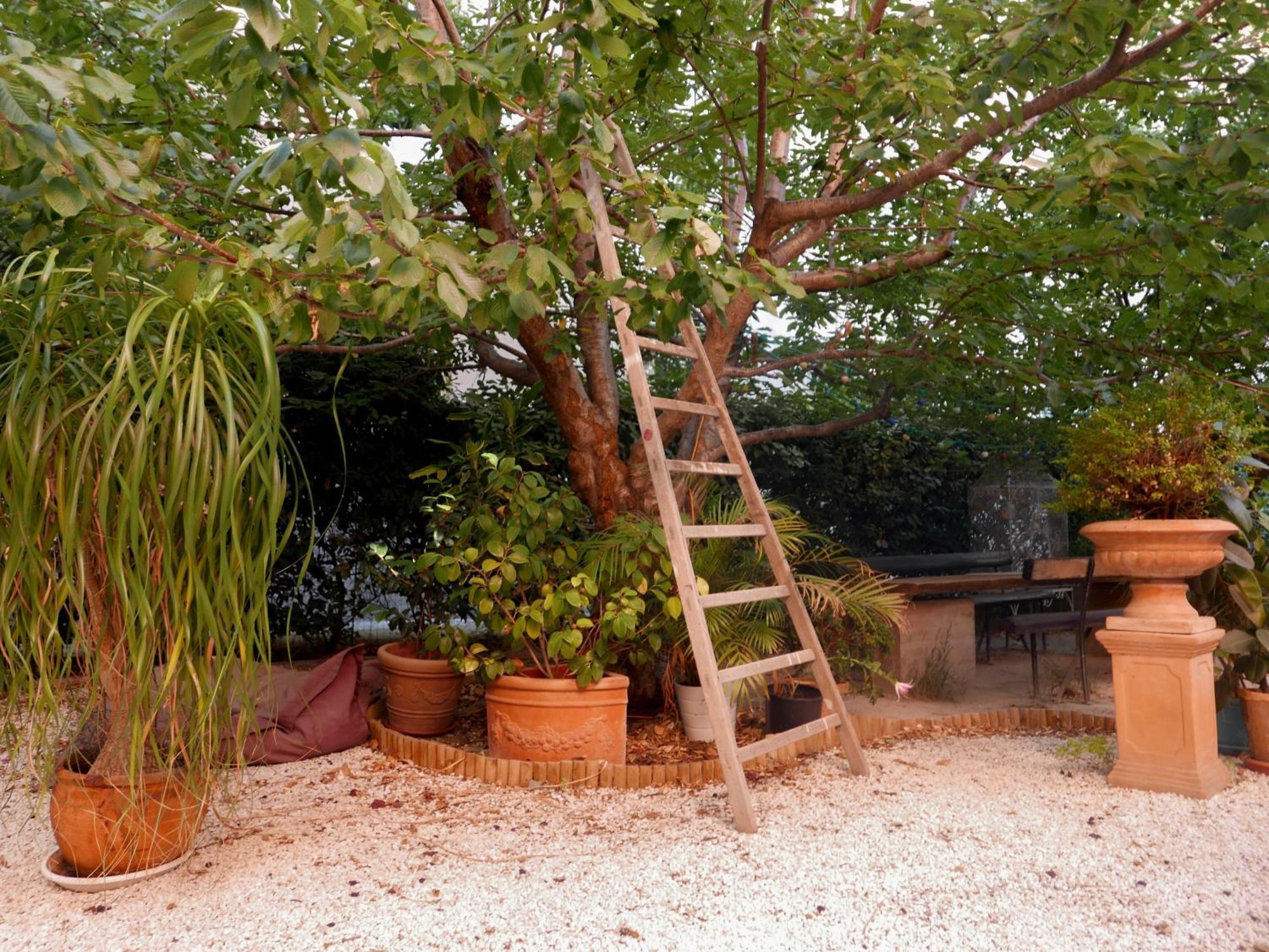 马赛 Jardin Vieux Port Panier酒店 外观 照片